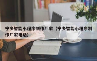 南平宁乡智能小程序制作厂家（宁乡智能小程序制作厂家电话）