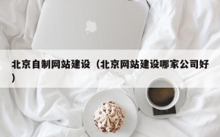 南平北京自制网站建设（北京网站建设哪家公司好）